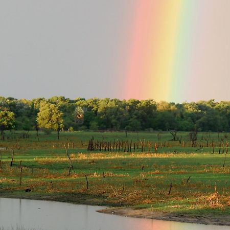 Island Safari Lodge Maun Ngoại thất bức ảnh