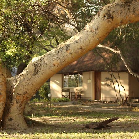 Island Safari Lodge Maun Ngoại thất bức ảnh