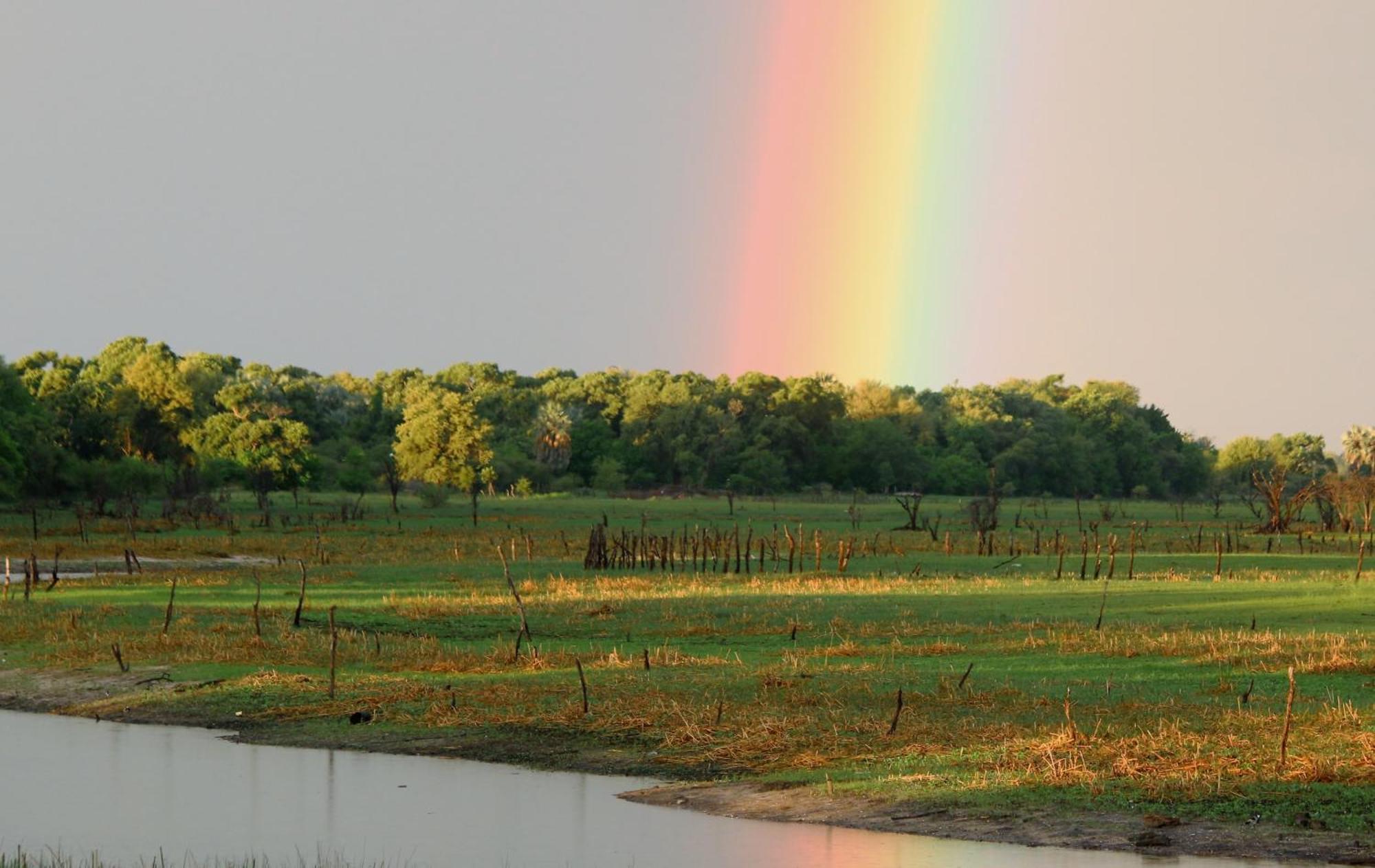 Island Safari Lodge Maun Ngoại thất bức ảnh