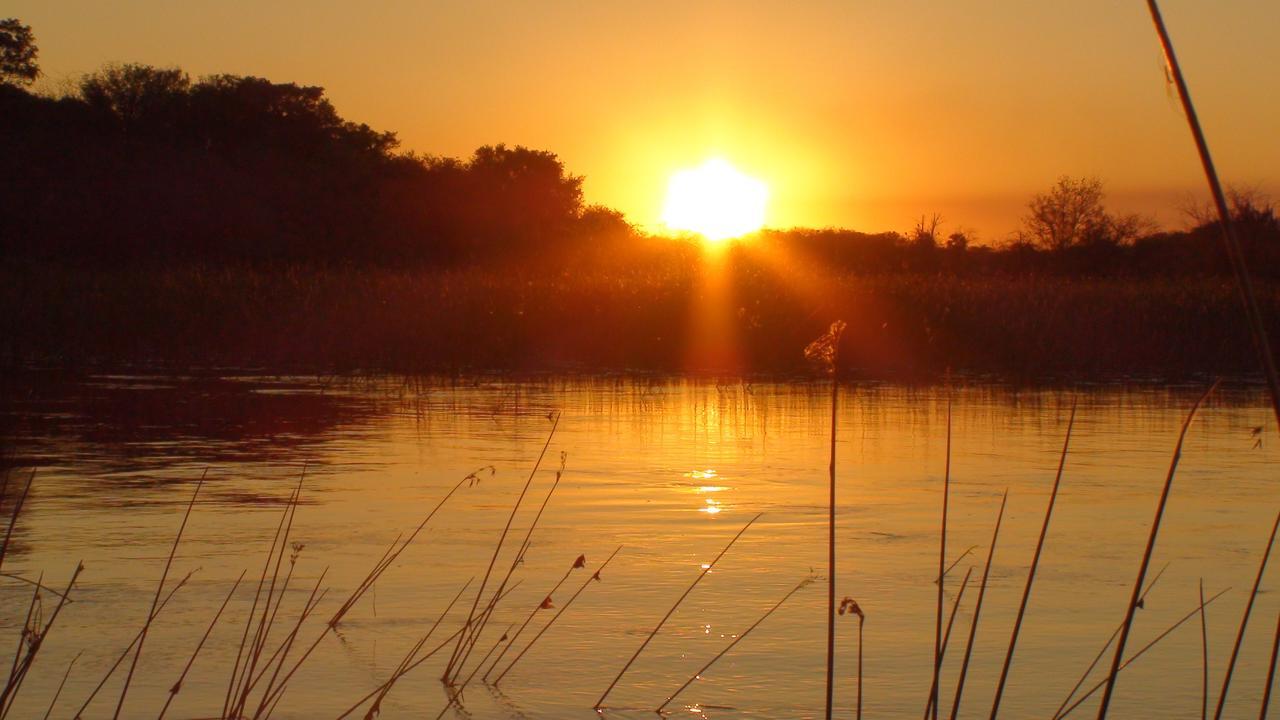 Island Safari Lodge Maun Ngoại thất bức ảnh