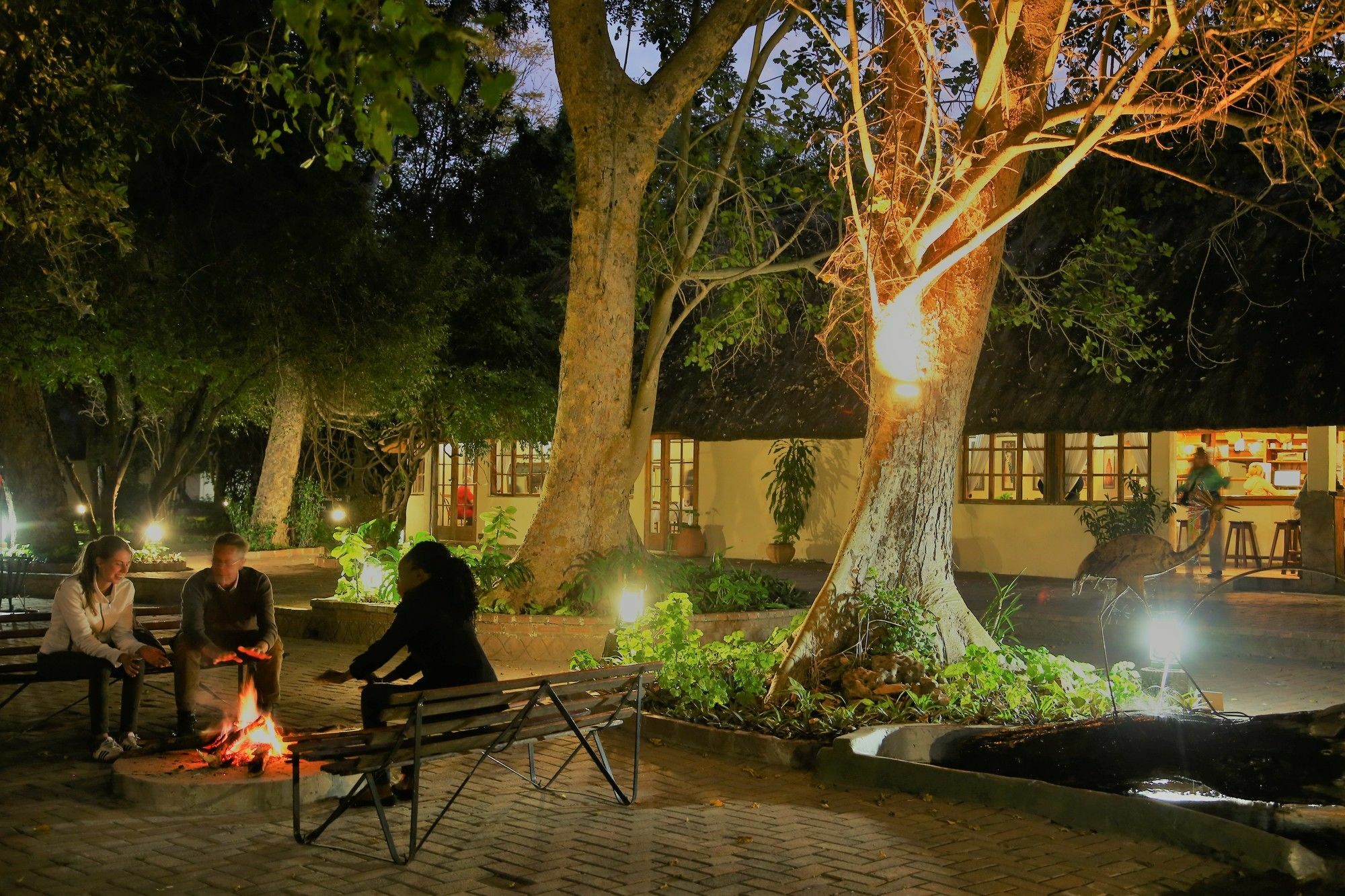 Island Safari Lodge Maun Ngoại thất bức ảnh